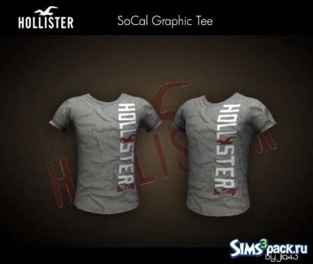 Мужская футболка Hollister