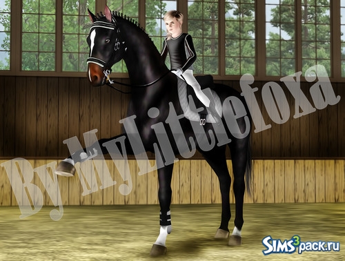 Набор поз Horse Training от MyLittlefoxa