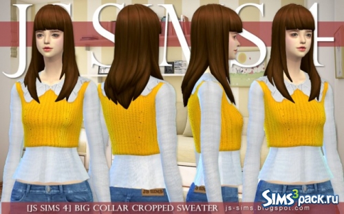 Свитер Big Collar Cropped от JS Sims