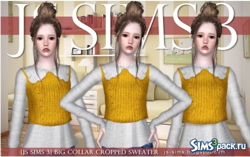 Свитер Big Collar Cropped JS Sims от JS Sims