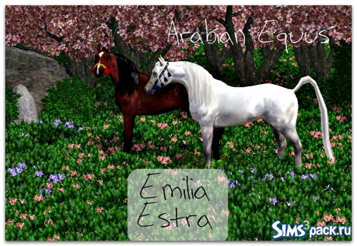 Арабский Конь (Arabian Equus) от Emilia Estra