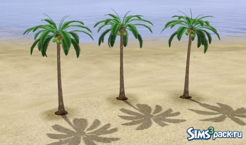 Мод Harvestable Coconut Palm от douglasveiga