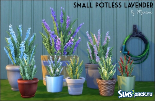 Растение "Potted lavender" от Martine Simblr