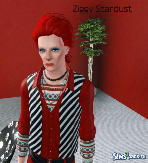 Зигги Стардаст от Ziggy