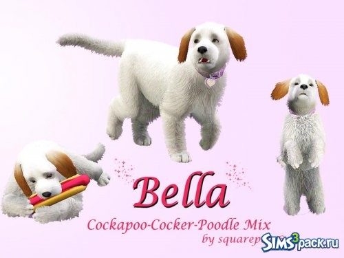 Собачка Bella