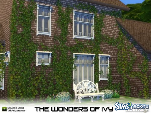 Сет растений The Wonders of Ivy от mutske