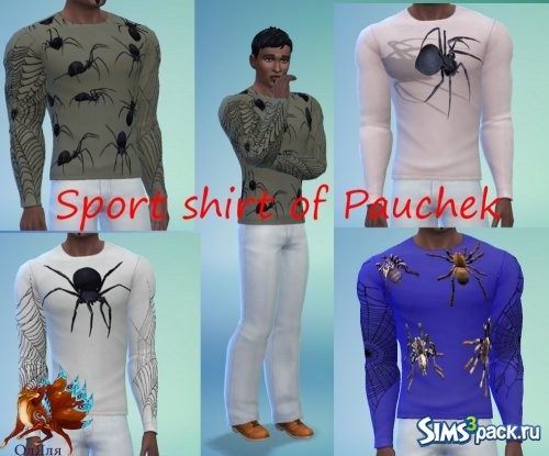 Sport shirt of Pauchek / Футболка Паучек от ОлЯля