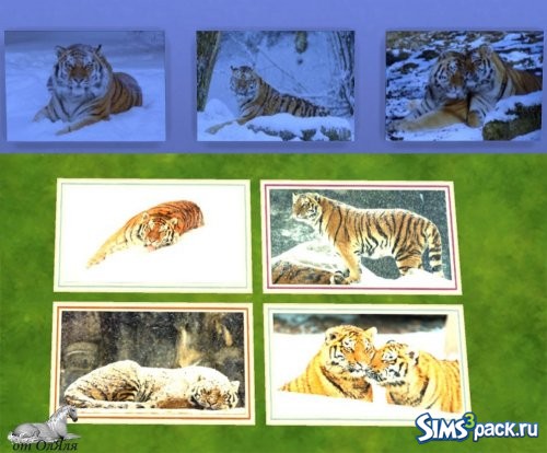 Set "Snow tiger" / Набор "Снежный тигр"