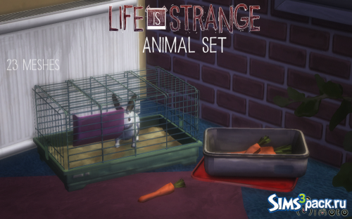 Животные из Life is strange + аксессуары