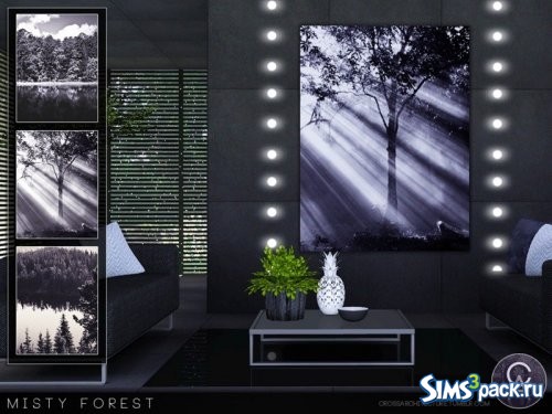 Постеры Misty Forest