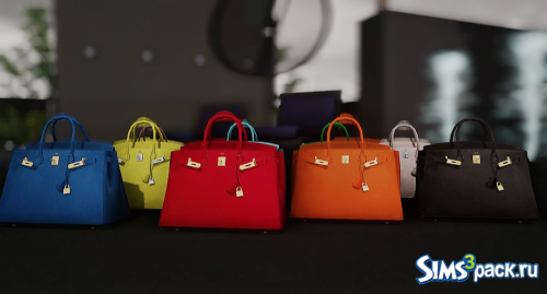 Сумка Hermes Birkin от Applekissims