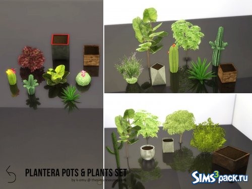 Сет PLANTERA Pot