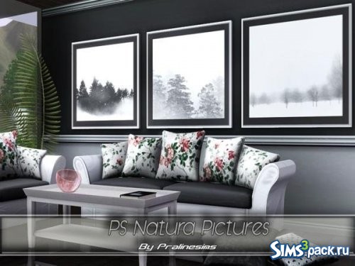 Картины Natura от Pralinesims