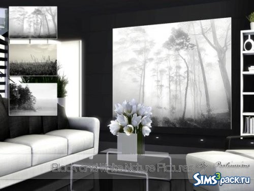 Картины Black and White Nature от Pralinesims