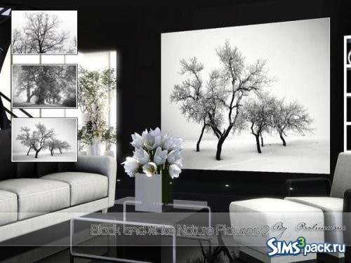 Картины Black and White Nature 2 от Pralinesims