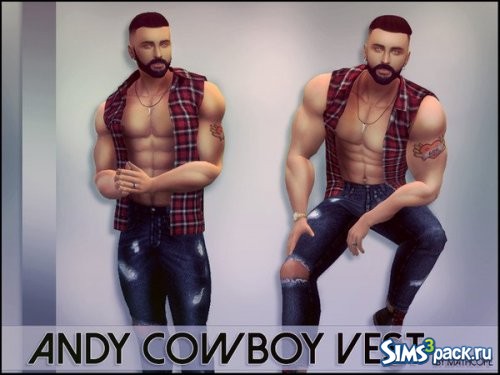 Жилетка Andy Cowboy от mathcope