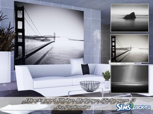 Картины Black and White Nature 3 от Pralinesims