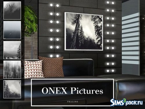 Картины ONEX от Pralinesims