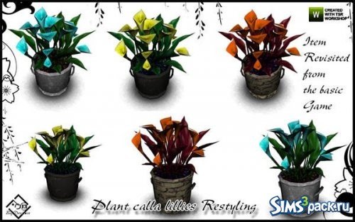 Растение в горшке Plant calla lillies от Devirose