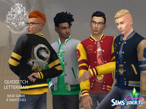 Спортивная куртка Hogwarts Quidditch от SimmieV